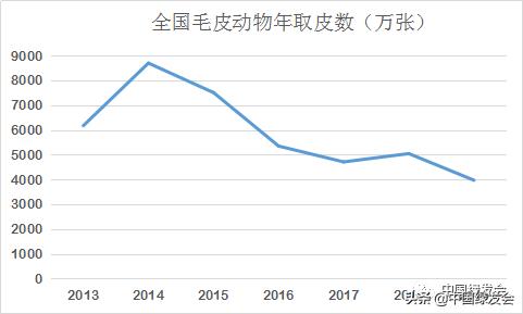 来稿刊发|华小夏：十年后再论*胆熊**行业