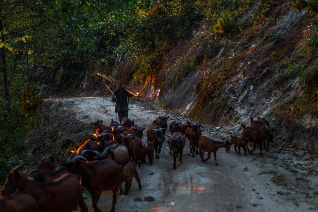 这是一个充满生机的公园怎么说,这是一个充满生机的国度朗诵