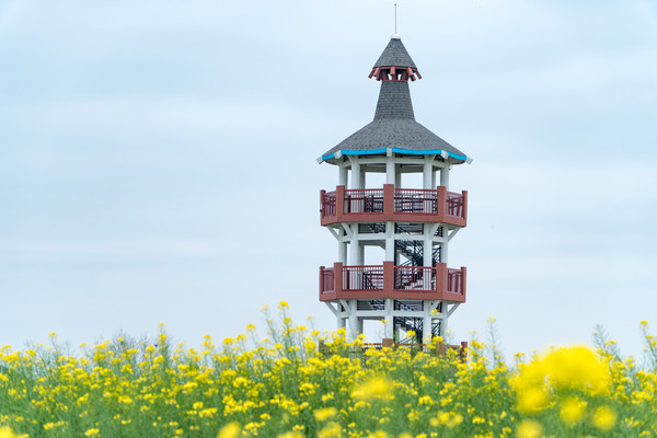 踏春赏花正当时，打卡千垛水上油菜花！玩转兴化景点美食全攻略