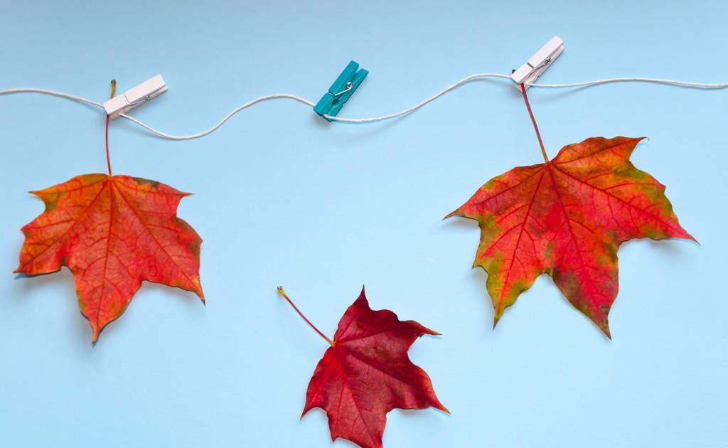 拼多多电商怎么开店赚钱,拼多多电商开店技巧与方法