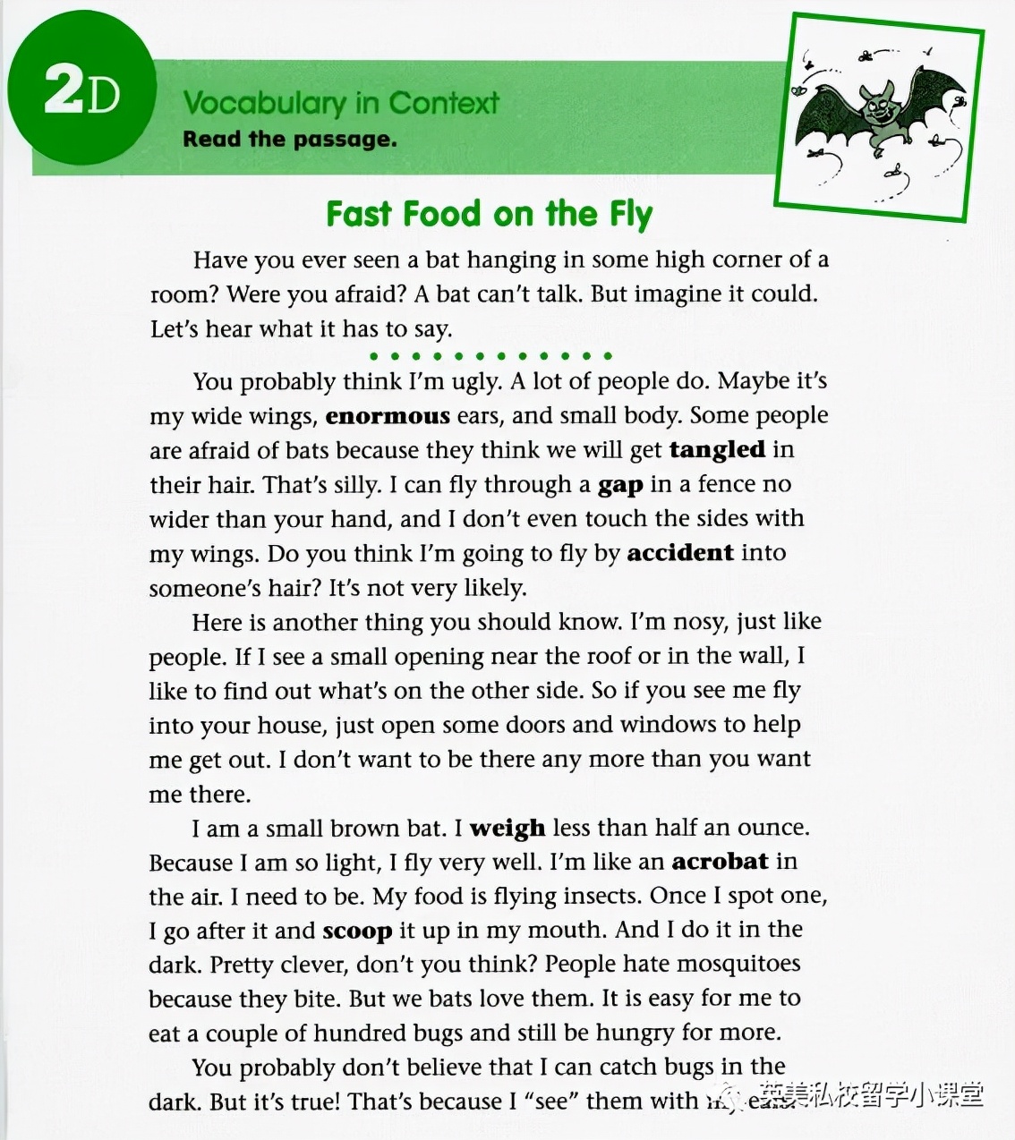 刷爆小红书！北美词汇原版教材《WordlyWise3000》全套，来啦