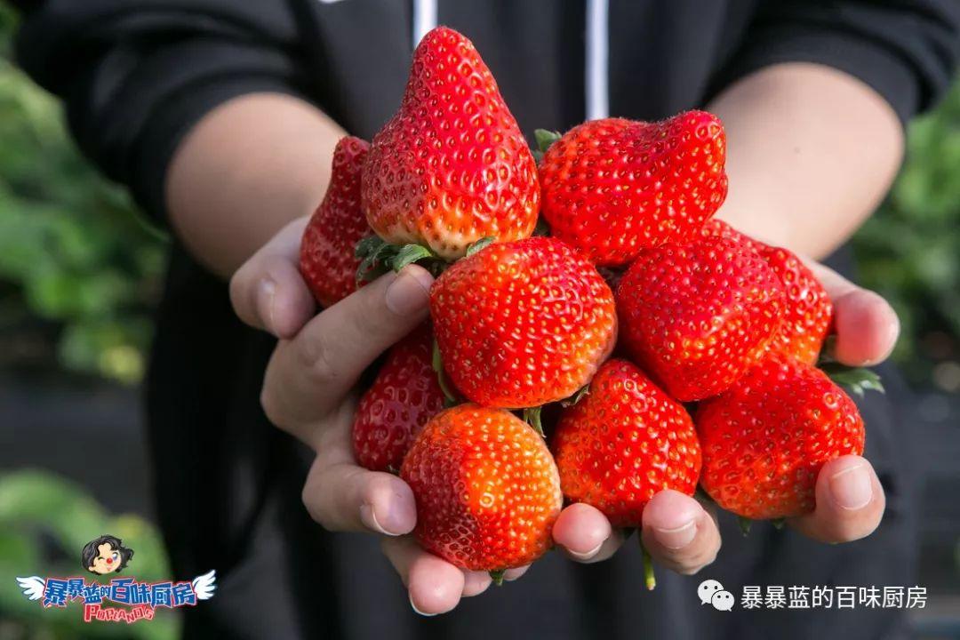 丹东特大久久红草莓,丹东九九大草莓是引进的吗