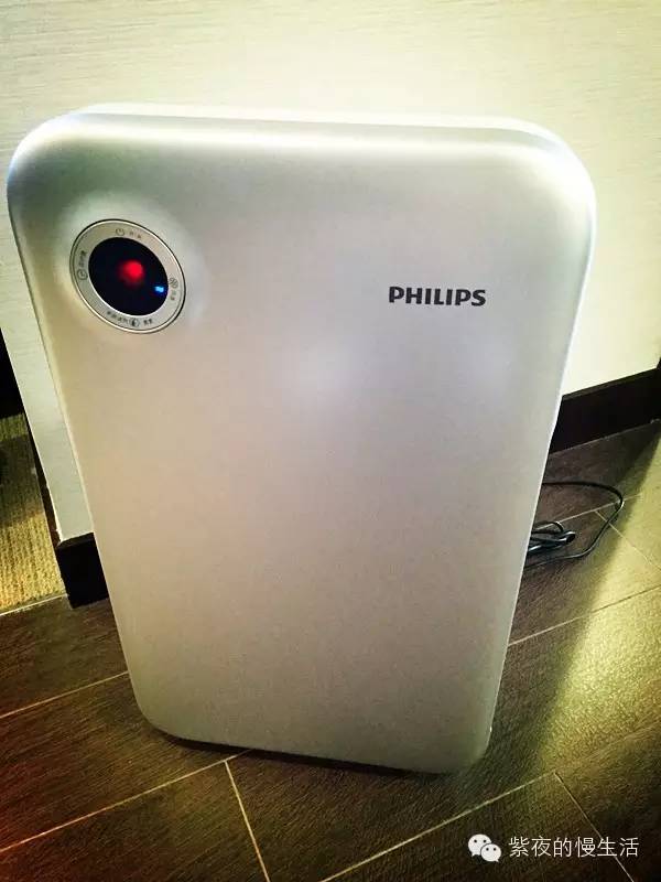 苏州带宠物去的古镇,苏州小众宠物乐园推荐