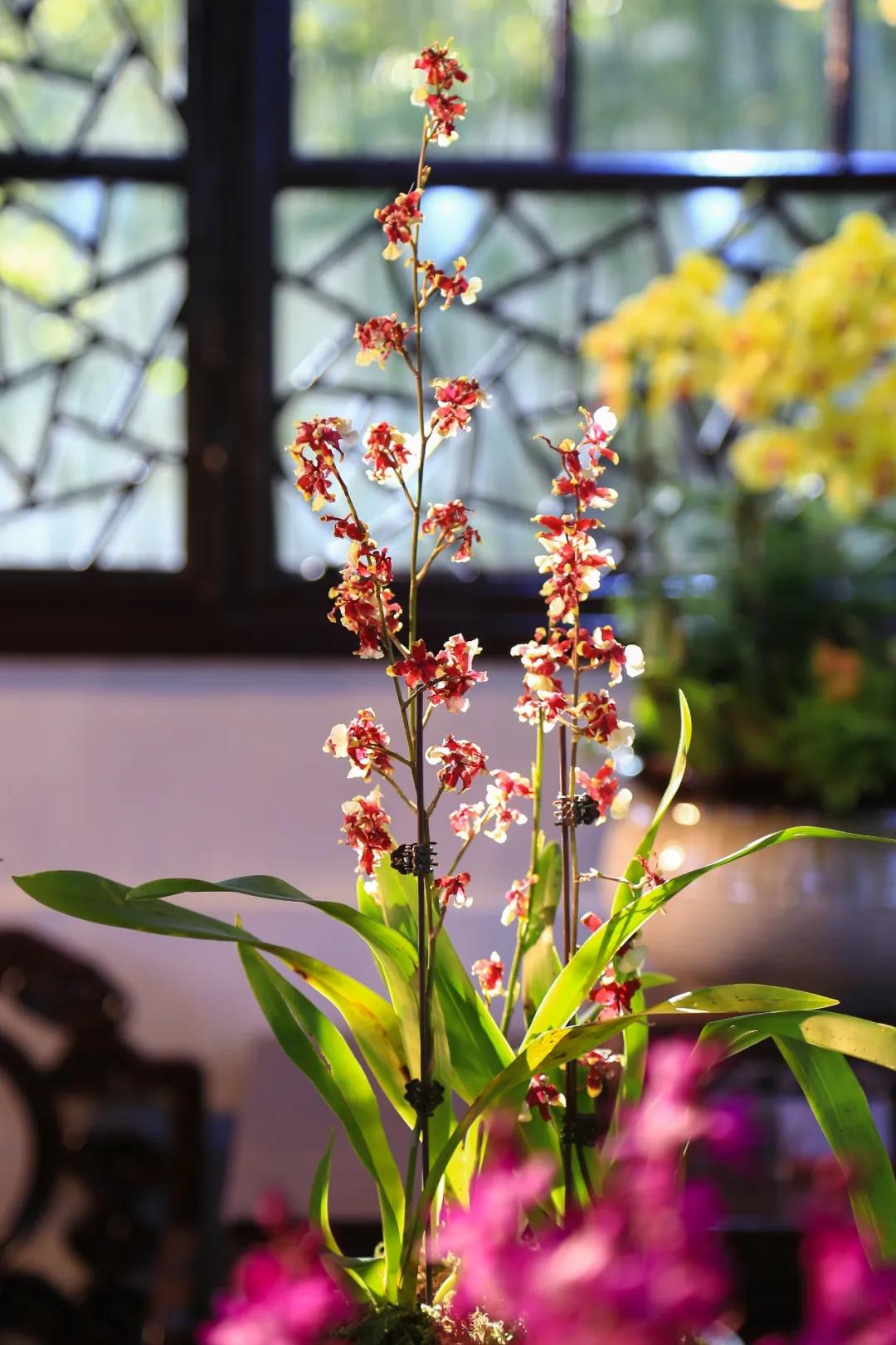 二十四史名言及解注,二十四史经典佳句30则受益终生