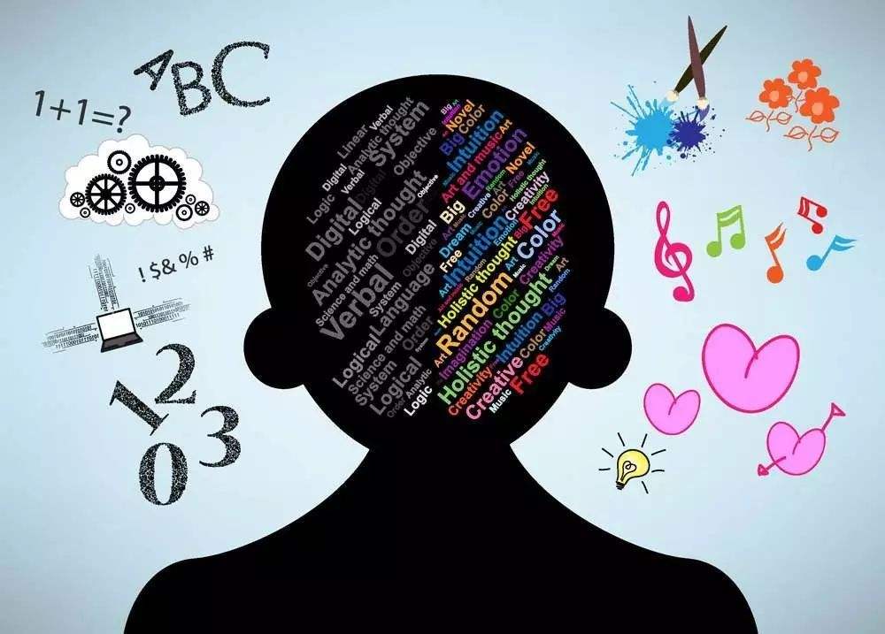 早期教育有助于儿童大脑发育,儿童早期大脑发育培训的教育意义