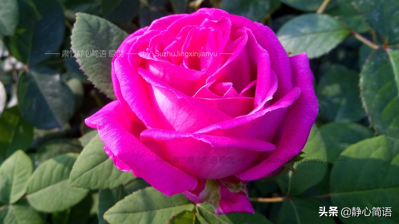 我也曾是学霸，不是因为我多强，是因为环境太差