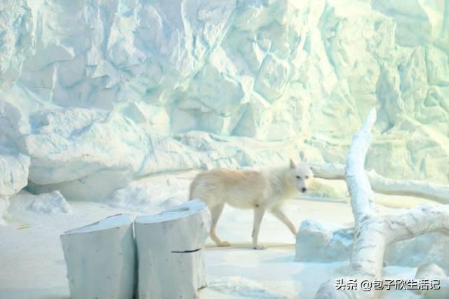 亲子珠海长隆海洋王国一日游攻略,珠海长隆海洋王国游玩攻略亲子