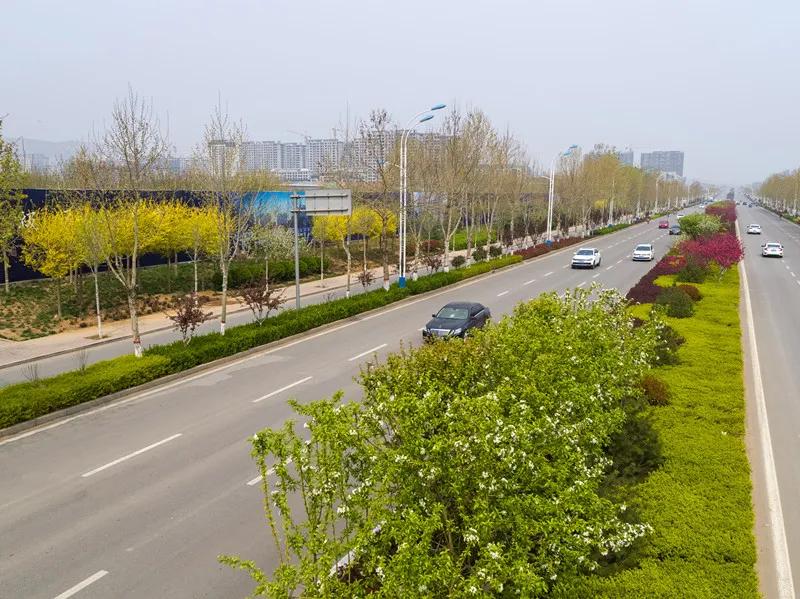 花团锦簇的峰峰是怎样炼成的？是时候告诉你真相了