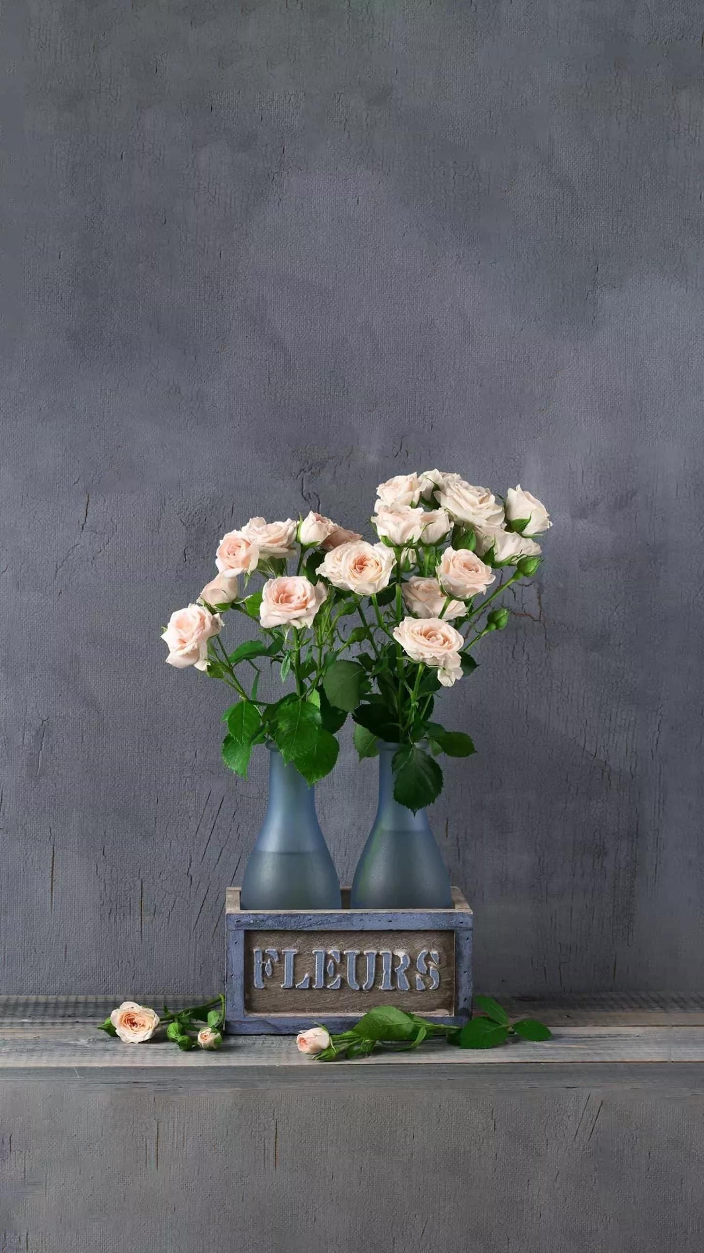 健康又快速减肥食谱,快速健康减肥一日三餐