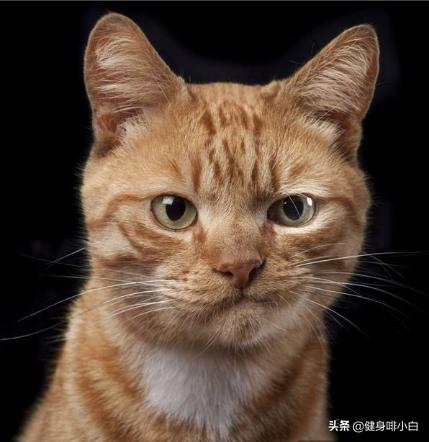 练腿怎么能瘦下来,练腿练的一个粗一个细解决办法