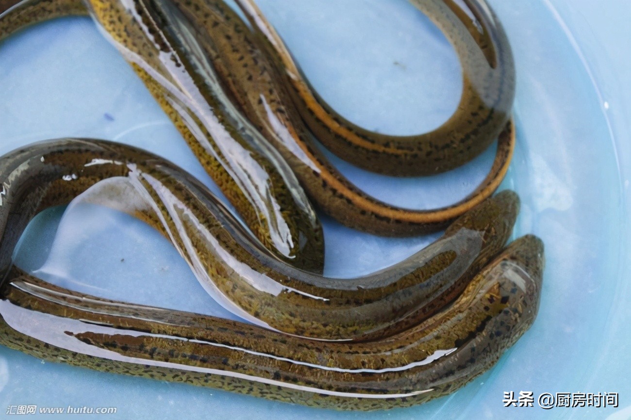 回农村过暑假的孩子太令人羡慕了，原来这些稀罕野味竟能随手可得