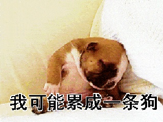 被骗去日本打工,被骗韩国打工