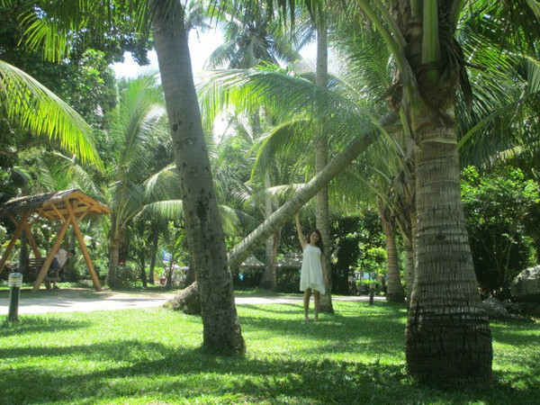 三亚自由行游玩路线,三亚自由行游玩攻略详细