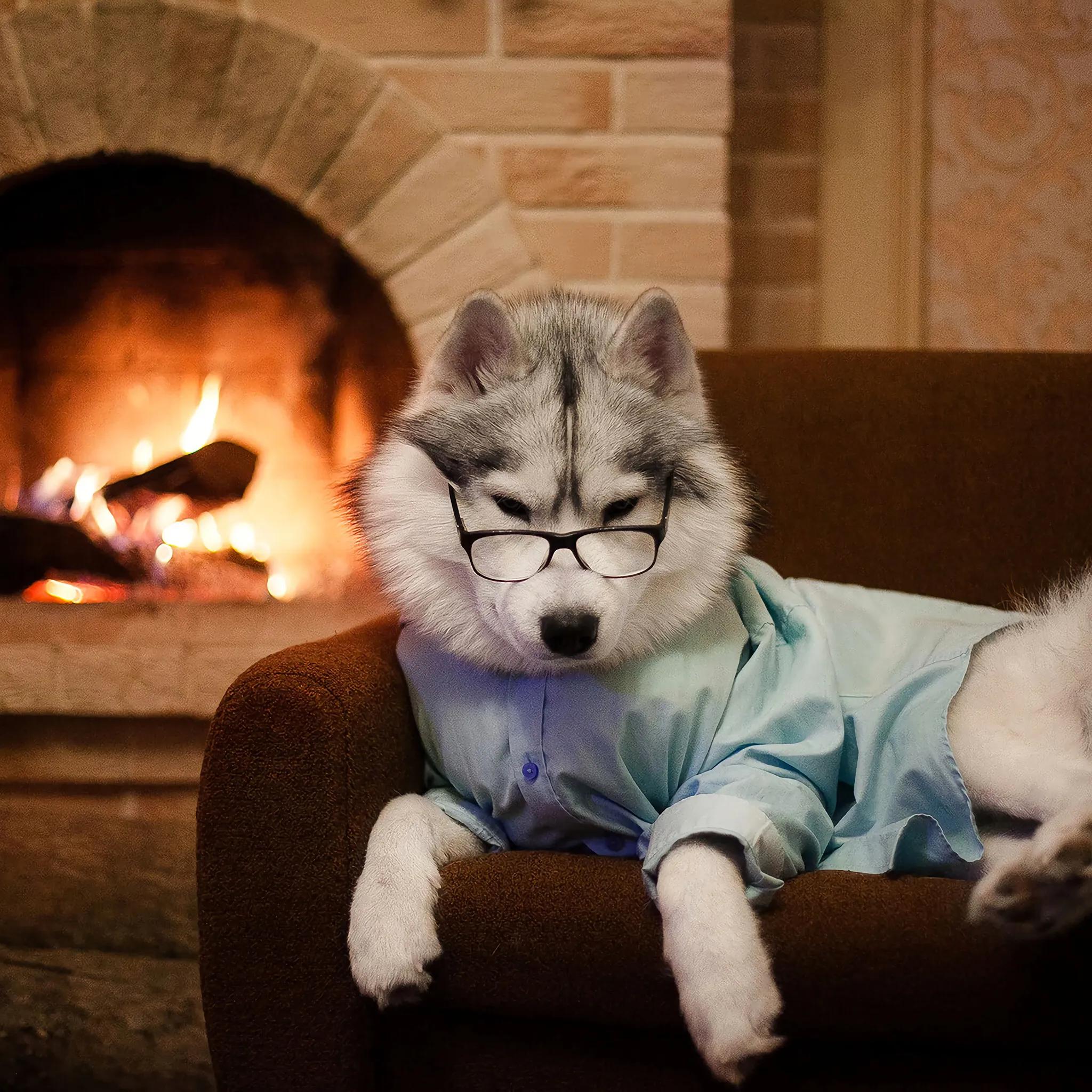 今年都买了些啥,章盟主最近都买了什么股