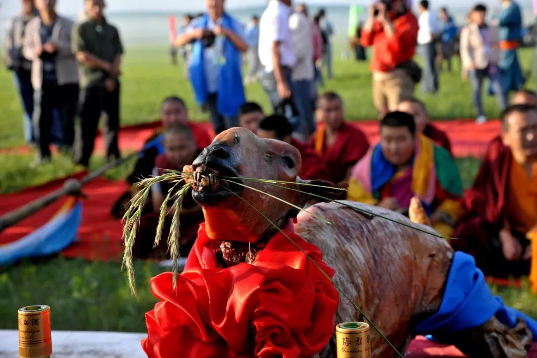 娌冲闈㈤,娌冲鐗硅壊闈㈤