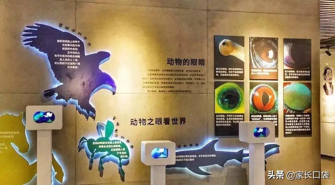 上海各大博物馆攻略,上海各大博物馆介绍