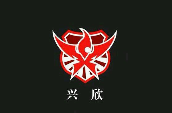 全职高手兴欣战队成员名单,全职高手兴欣战队成员