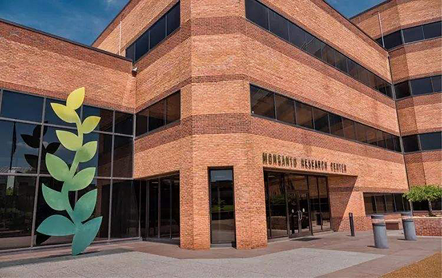 用种子操控全世界粮食?邪恶龙头孟山都,因何成了过街老鼠?