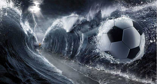 威纳尔,衡阳威纳尔