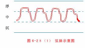 中医把脉入门必背口诀翻译,把脉入门必背口诀粤语版