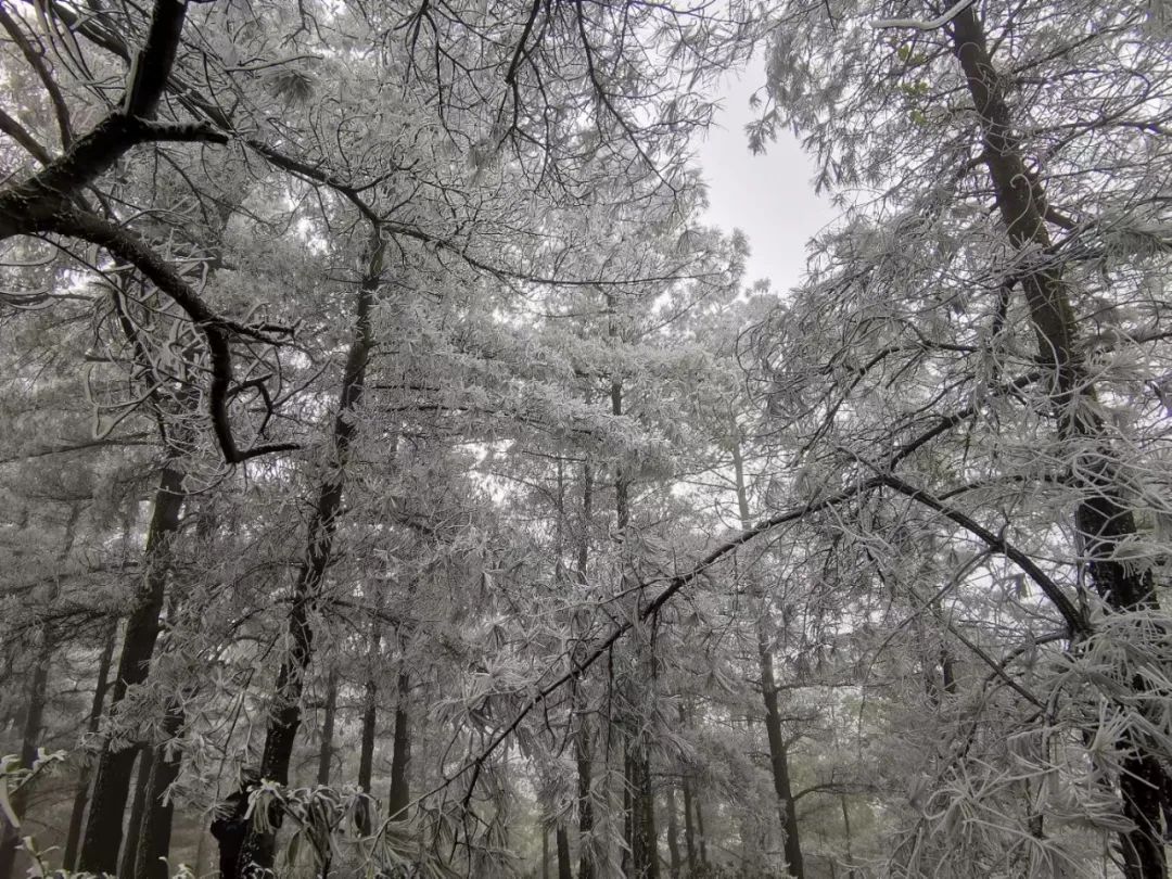 大寒潮小寒潮,寒潮带来大范围降雪