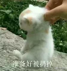 手串盘废了可以用水刷吗,手串盘完要不要放进袋子