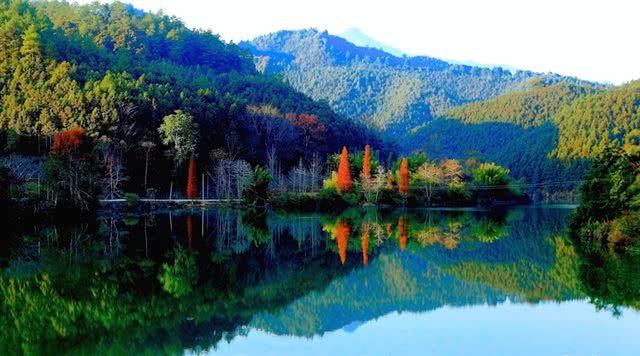 广东森林公园推荐,广东十大森林公园旅游景点