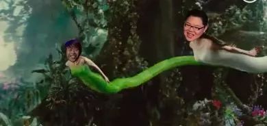 雀巢丝倍亮通用狗粮15kg,雀巢丝倍亮狗粮