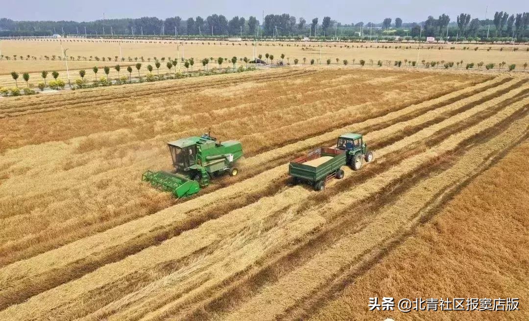 搜一搜就知道了,搜一搜商家会怎么样