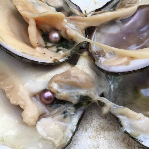 四种现场加工*局骗**,展会上看到后,有多远离它多远。