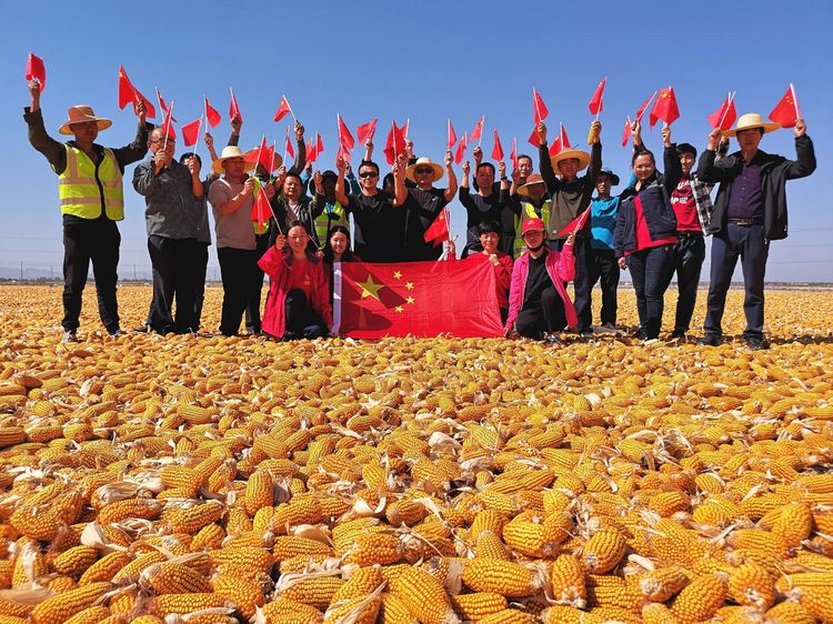 德农种业股份有限公司,德农种业专注种子