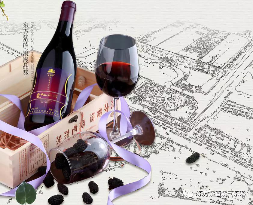 传承桑氏家族文化,传承传统文化彰显蚕桑魅力美篇