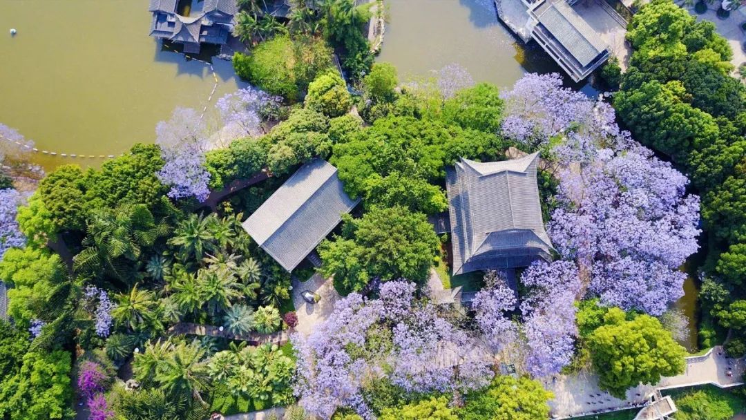 云南本地好吃的大米有哪些,云南哪里的大米好吃排名