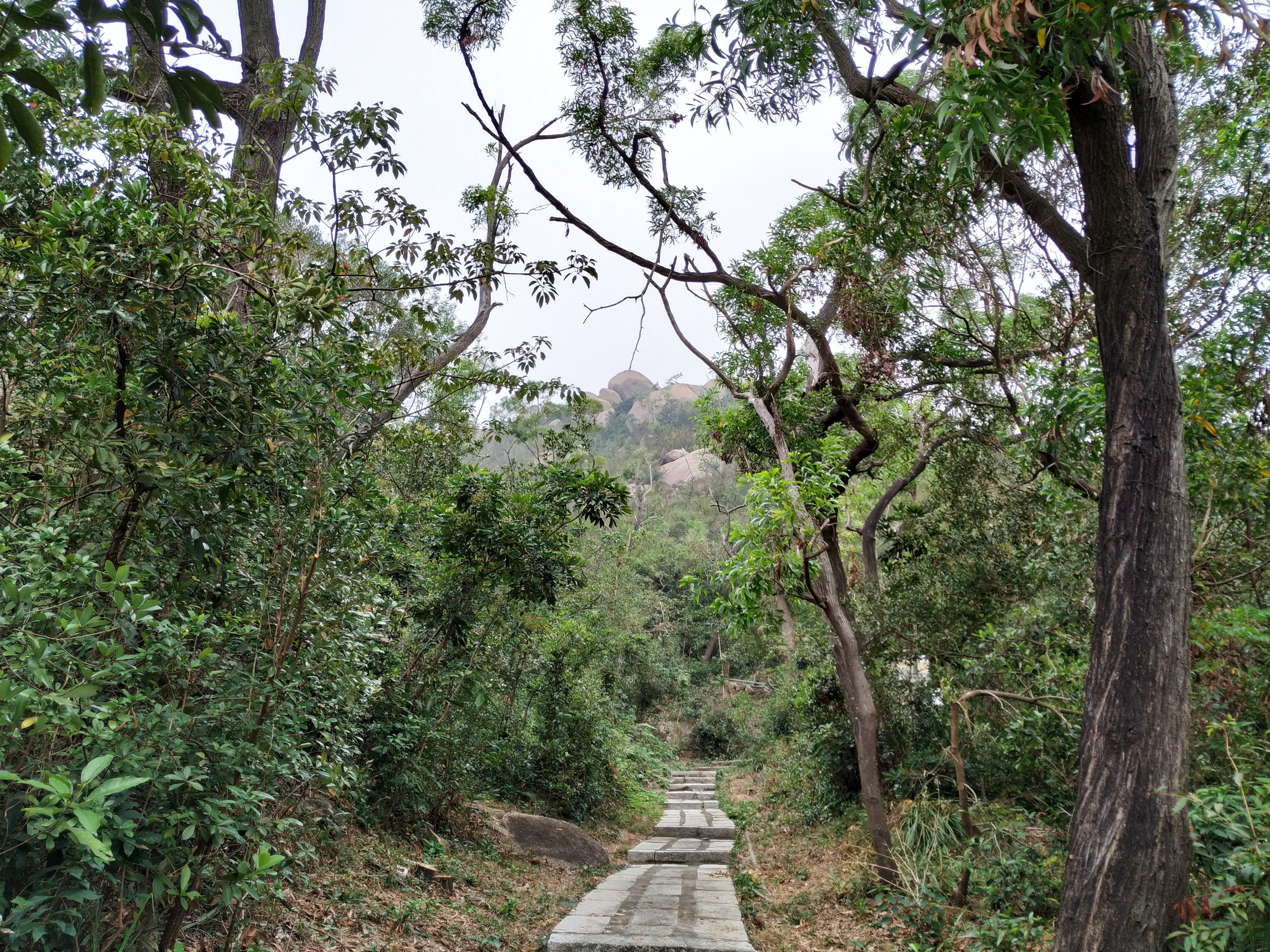 珠海景山公园旅游,珠海景山旅游攻略路线推荐