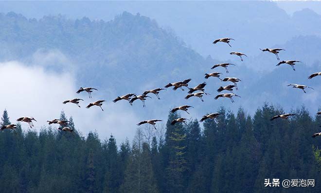峨眉山和瓦屋山哪个更好,峨眉山一日游精选游记