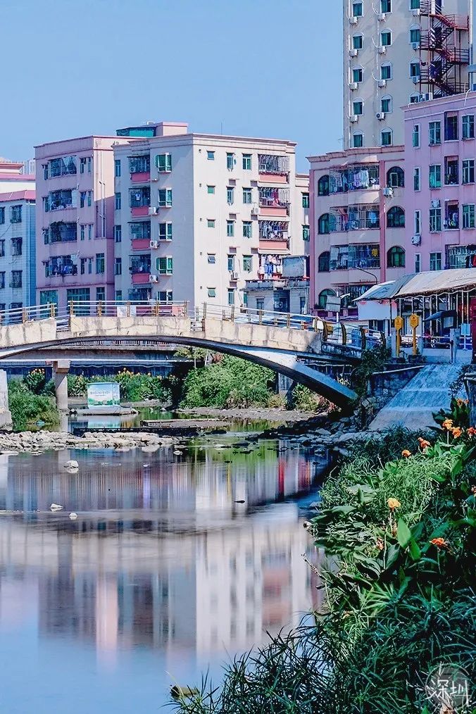 西乡好去处,深圳一个来了就不想走的地方