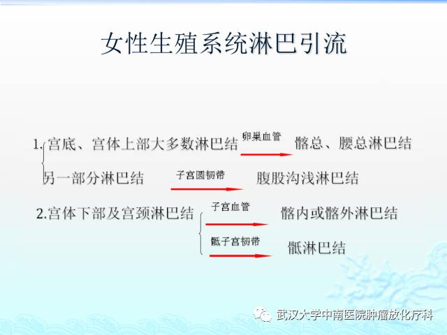 女性盆腔解剖与断层影像