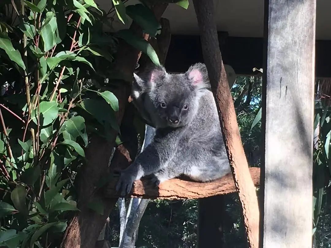 100个稀奇古怪的赚钱点子,最不可思议的搞钱方式