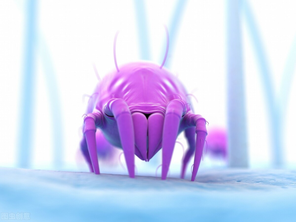 老是长风团荨麻疹是哪里出问题,总起丘疹性荨麻疹