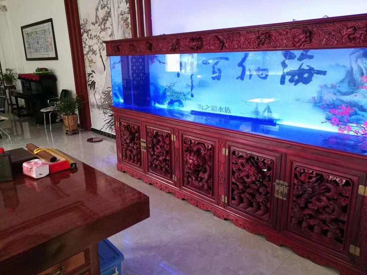 鱼缸养锦鲤鱼的方法和技巧,鱼缸新手养锦鲤鱼的正确方法