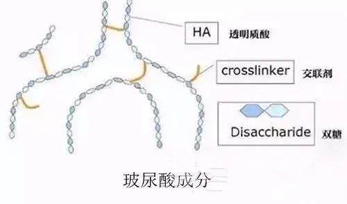 玻尿酸做鼻子会完全吸收吗,微交联玻尿酸能完全吸收吗
