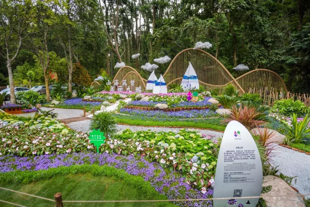 未来10天预警,深圳最最最最火的地方在这里,美女都赶来打卡