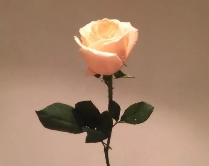 不要总说“明天”,世界上没有比现在还更有意义