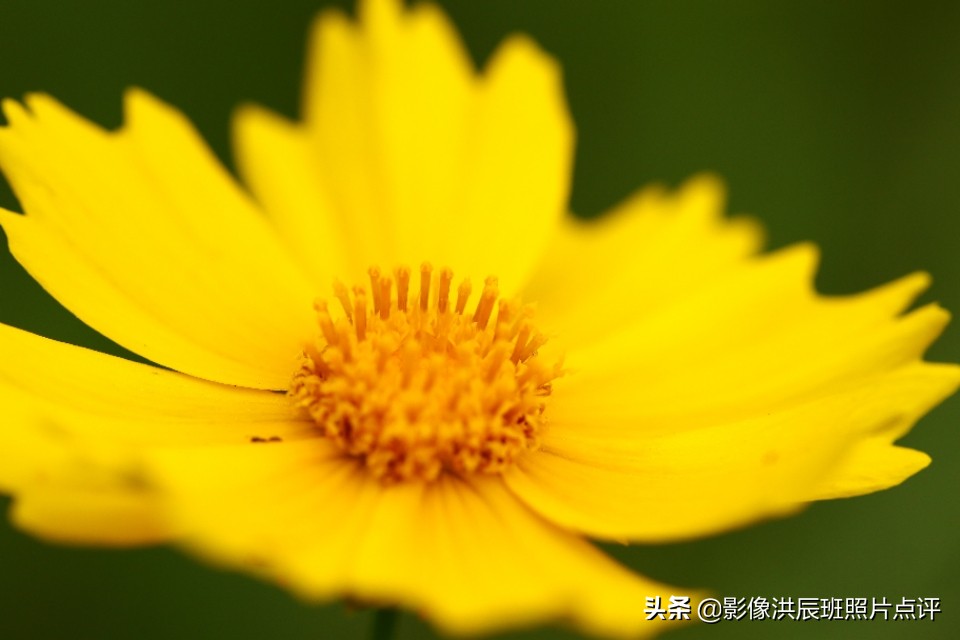 单反镜头有哪些小毛病,单反镜头容易碎吗为什么