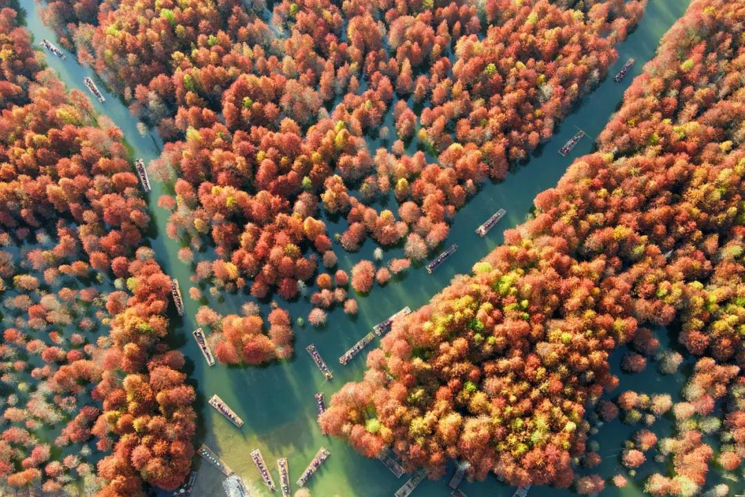 秋天的杭州自驾游,杭州秋冬自驾