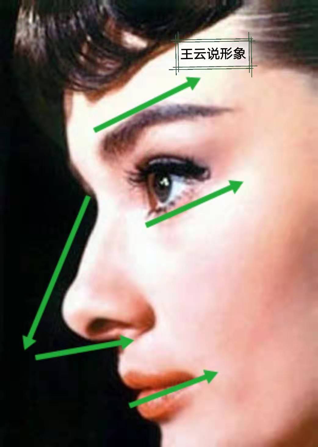 赫本和玛丽莲梦露谁更好看,凭啥让赫本和梦露都如此迷恋