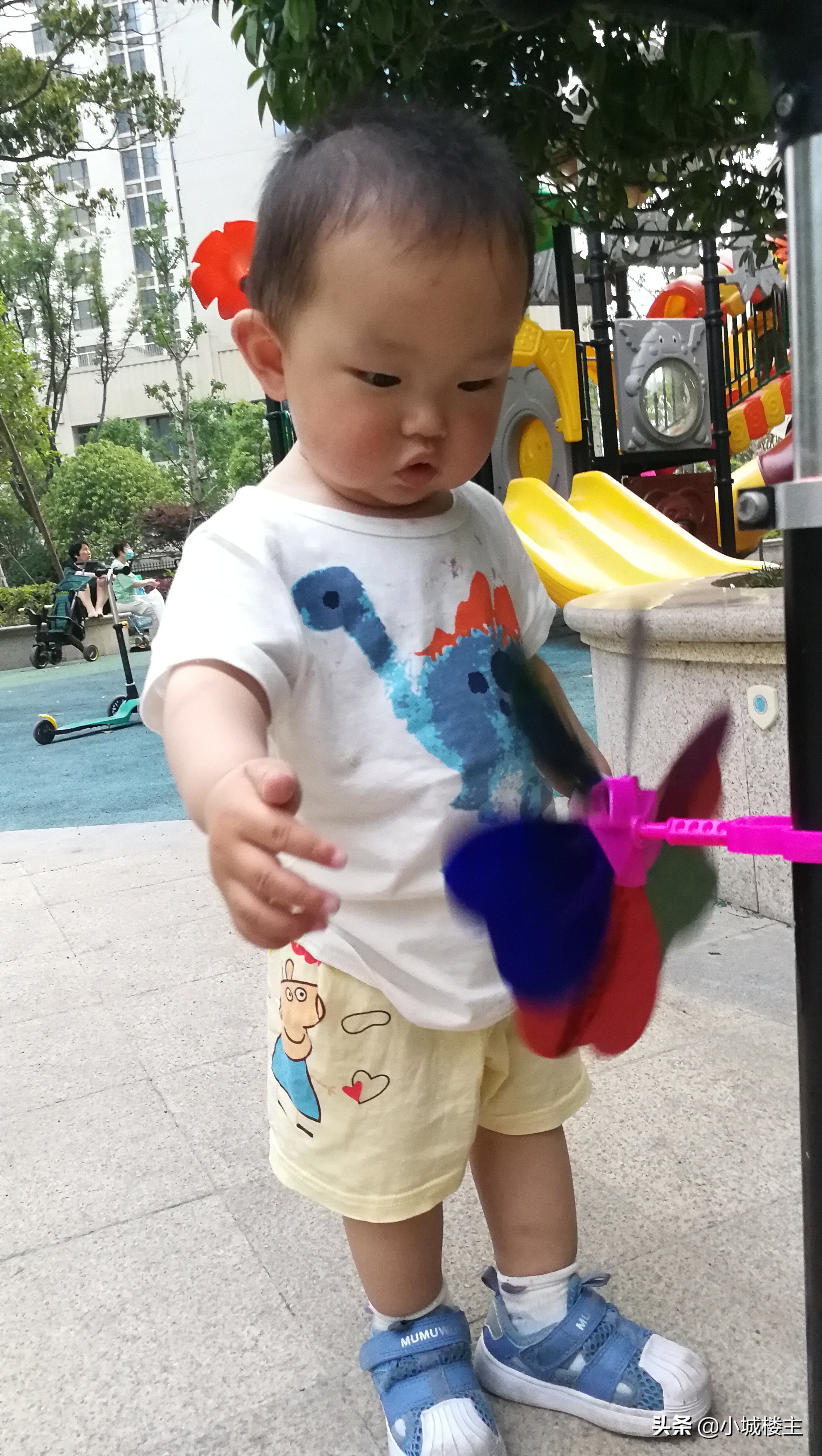 宝宝第一天大便干硬怎么办,7个月宝宝大便干燥球状