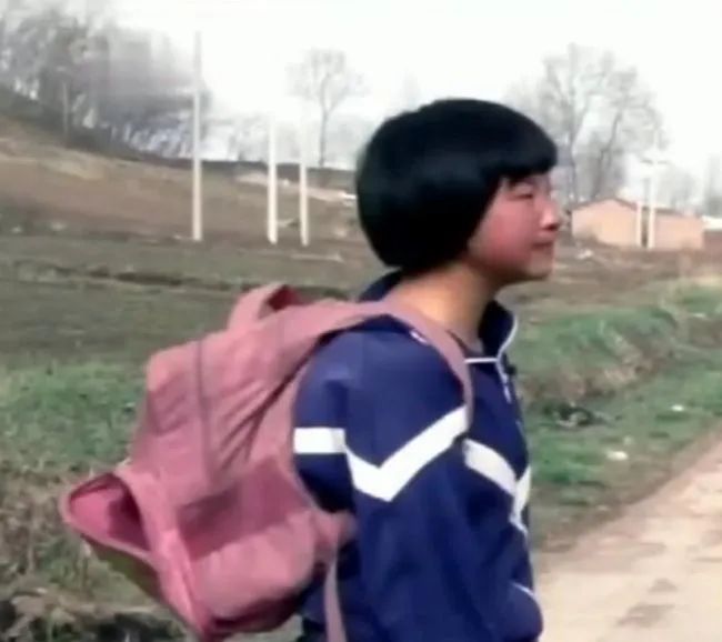 变形计杨桐的近况,变形计杨桐网红现状