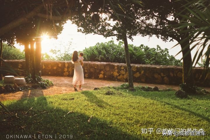 2019你都拍过什么,2019年最怀念的照片