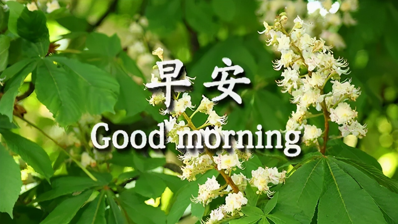 早安佛祖祝福带字美图,最新早安带字祝福图片